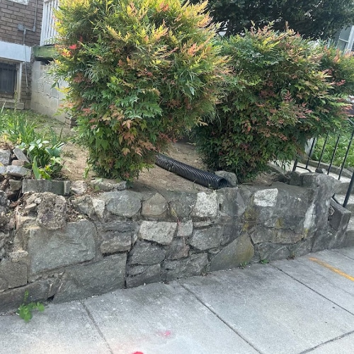 Bush Trimming